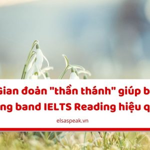 nâng band IELTS Reading hiệu quả