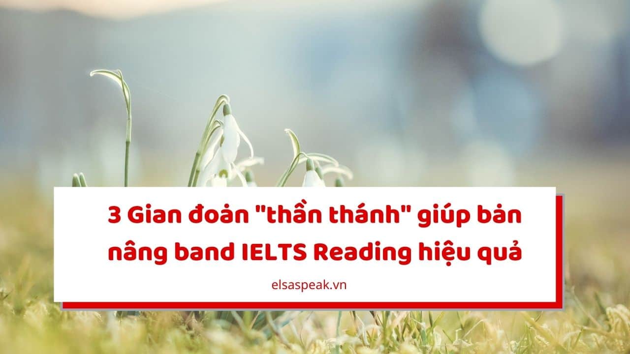nâng band IELTS Reading hiệu quả